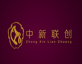 【中新聯(lián)創(chuàng)】金融企業(yè)LOGO設計理念講解,金融LOGO設計效果圖片欣賞